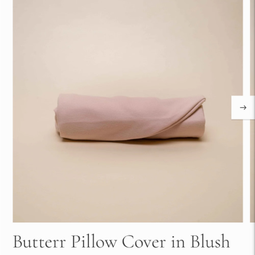 Butterr Pillow Cover in Blush