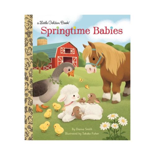 Springtime Babies - (Little Golden Book) by Danna Smith (Hardcover)