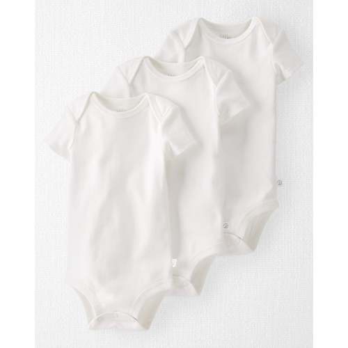 Baby 3-Pack Organic Cotton Rib Bodysuits (6 Months)