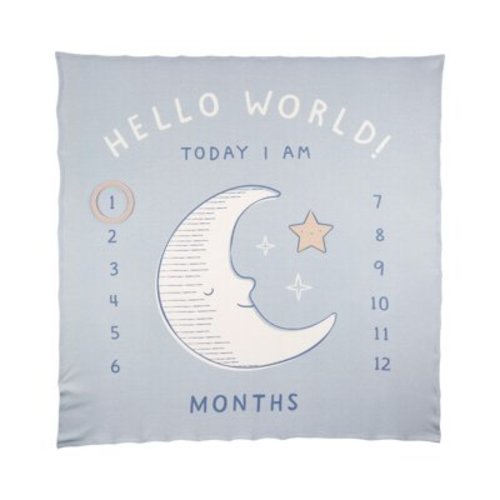 Baby Carter's Milestone Blanket Color: Blue Size: N/A