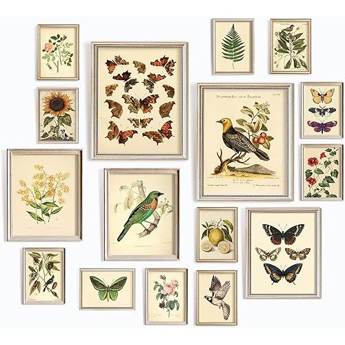 97 Decor LARGE 11x14 Vintage Botanical Wall Art Decor - Plant Posters For Room Aesthetic, Vintage Botanical Prints Nature Floral Pictures Butterfly Bird Art For Home Bedroom (Unframed)