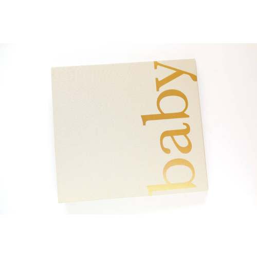 The Baby Memory Book