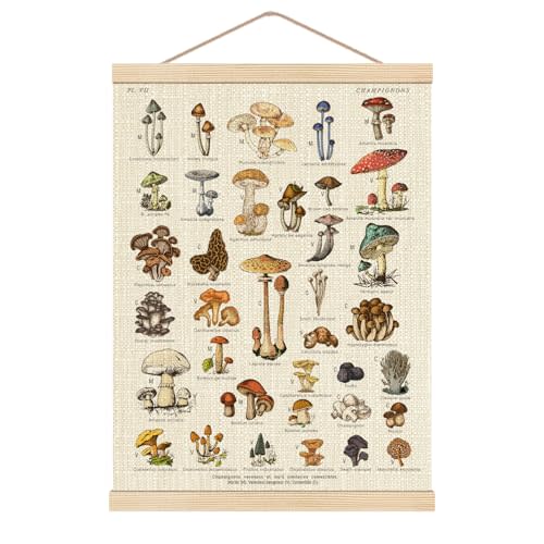 HKTZM Mushroom Alphabet Nursery Poster Hanger Frame 12.5×17 Inch, Cottagecore Mushroom Alphabet ABC Educational Hanging Wall Art Decor for Nursery Toddler Kids Room Playroom Classroom
