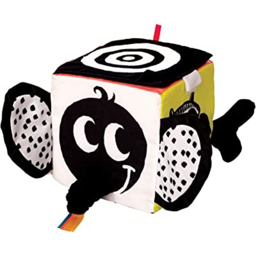Manhattan Toy Wimmer-Ferguson Learning Cube - Wimmer-Ferguson Learning Cube