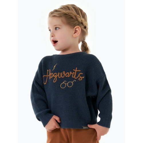 Modern Moments x Harry Potter Toddler Neutral Sweater, Sizes 12M-5T