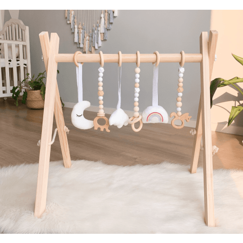 Taylorson Baby Play Gym with 6 Hanging Toys
