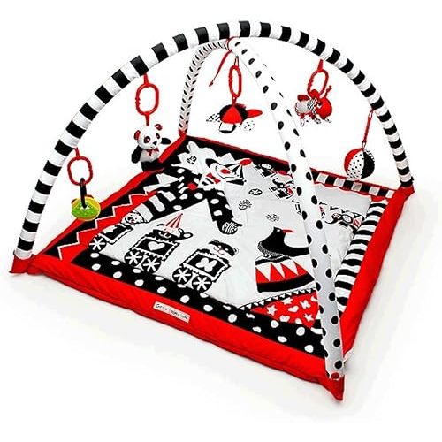 Genius Baby Toys Portable Baby Play Gym and Activity Mat 0-6 Months, Easy Set Up and Take Down, High Contrast Graphics, Washable Fabric, Ideal for Tummy Time, Compact Size with Carrying Case