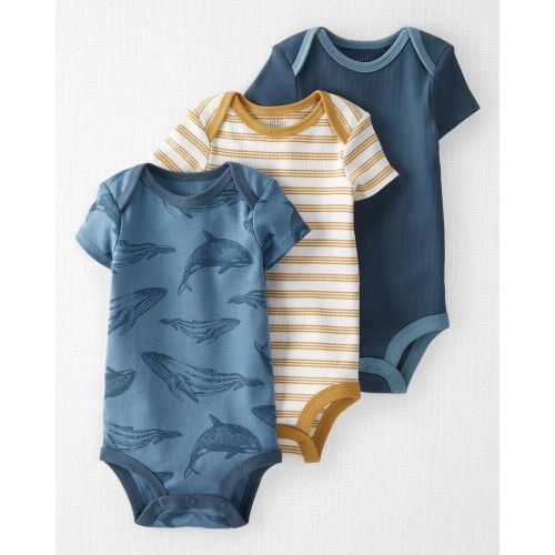 3-Pack Organic Cotton Bodysuits - Multi