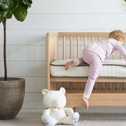 Best Affordable & Organic Crib Mattress | Avocado Green Mattress