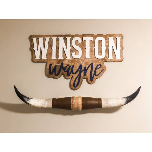 Custom 3D Name Sign, Boy Nursery Name Sign, Nursery Wall Art, Wooden Name Sign, Outline Name Sign, Western Nursery Decor, Longhorn Theme