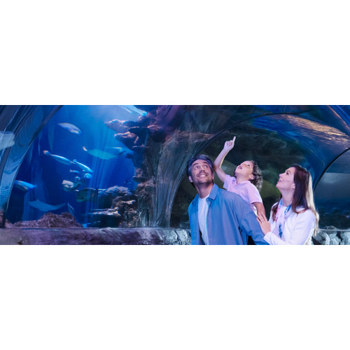 Limited-Time Summer Tickets - SEA LIFE New Jersey