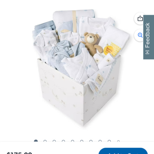 Burt's Bees Baby Organic Cotton 25-Piece Gift Set - Samsclub.com