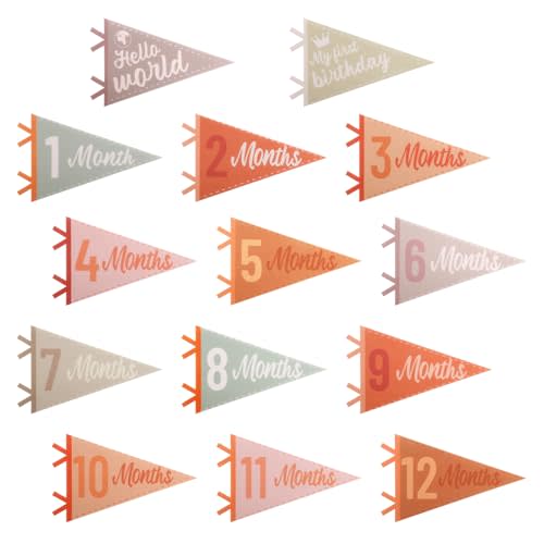14 Pcs Baby Felt Pennant Signs, Baby Pennant Flags Month Baby Felt Pennant Signs for Newborn Birthday Party Baby Shower Decoration