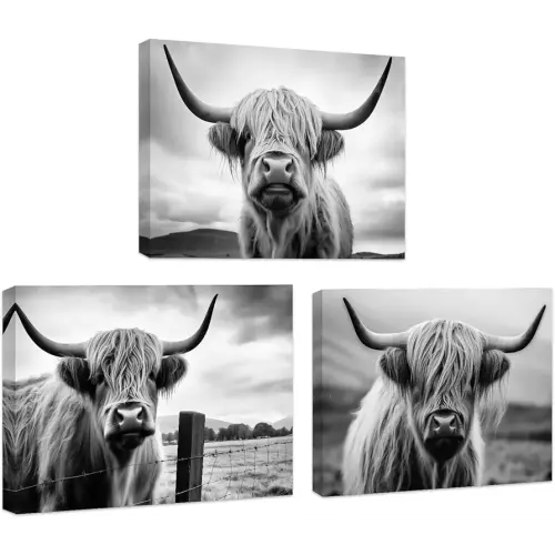 CCWACPP Highland Cow Wall Art 3 Piece Black and White Highland Cattle Painting Farmhouse Animal Canvas Print Western Home Decor Framed (11"x14"x3)