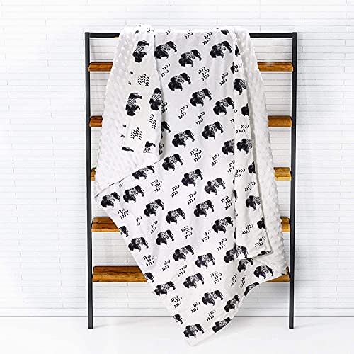 TANOFAR Bison Baby Blankets, Minky Toddler Blanket for Boys Girls, Dotted Backing, Double Layer, Crib Receiving Blanket, for Nursery/Stroller/Toddler Bed/Carseat, 30 x 40 Inch