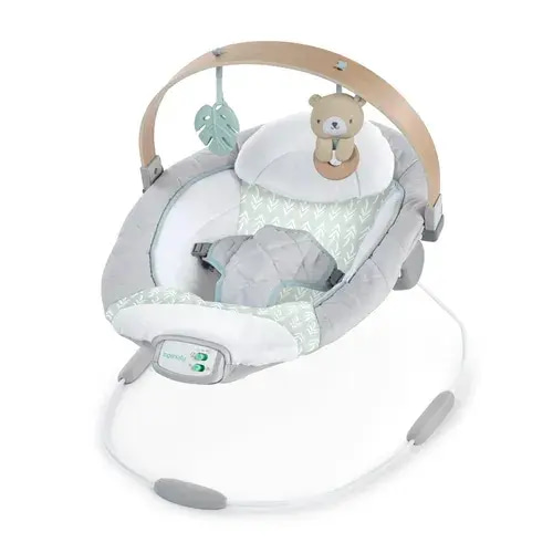 Ingenuity Cozy Spot Bouncer | Baby Bunting AU