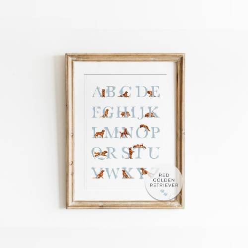 Red Golden Retriever Alphabet Poster. Puppy abc poster. Golden Retriever Alphabet Print. Educational Poster Nursery Decor. Digital Download