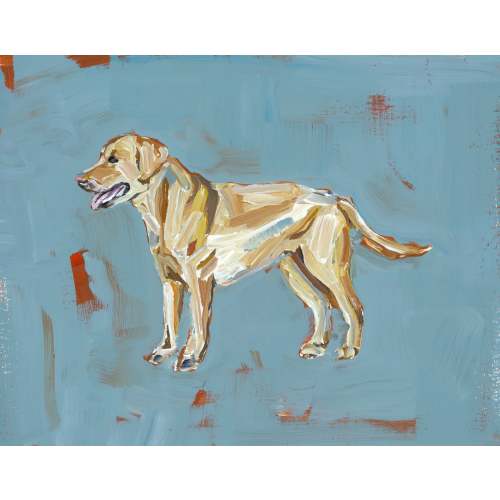 "Yellow Lab" blue print