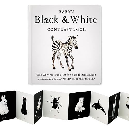 Baby's Black and White Contrast Book: High-Contrast Art for Visual Stimulation at Tummy Time (Tabitha Paige Children's Book Series) Board book – Picture Book, August 1, 2023