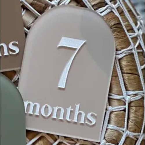Monthly Milestone Discs in the color Dove