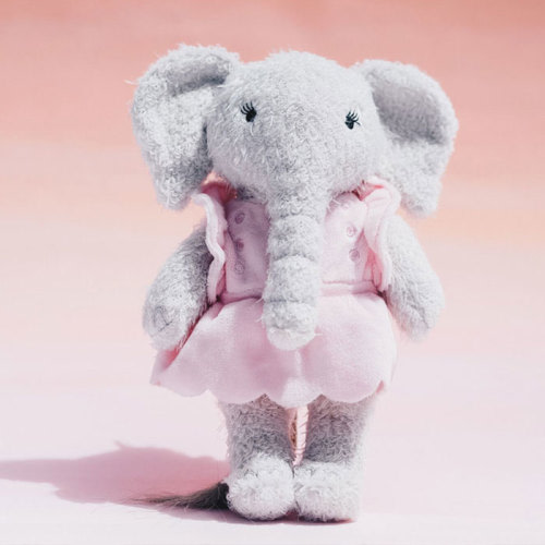 Kiki — The Elephant Project
