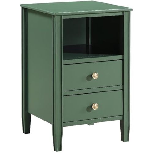 Winsley 2-Drawer Vintage Green Painted Wood Storage Nightstand