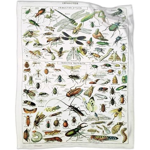 Art Insects Identification Reference Blanket Gifts for Tarot Lover 40 x 50 Inch for Kid,Art Insects Identification Reference Fannel Fleece Throw Blanket Super Soft Throws Blanket for Bed Couch Sofa
