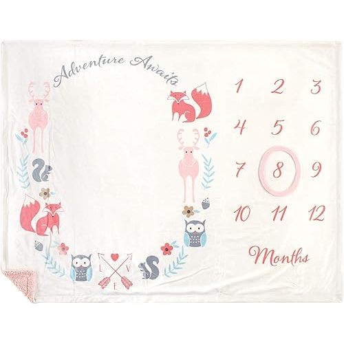 Hudson Baby Unisex Baby Plush Holiday and Milestone Blanket, Girl Adventure Awaits, One Size