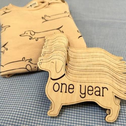 Dachshund monthly milestones