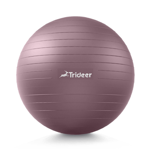 Trideer Extra Thick Yoga Exercise Ball