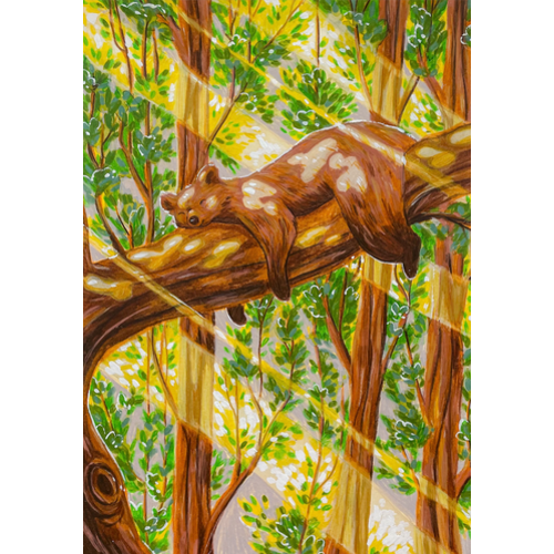 FineArt Print- Nap