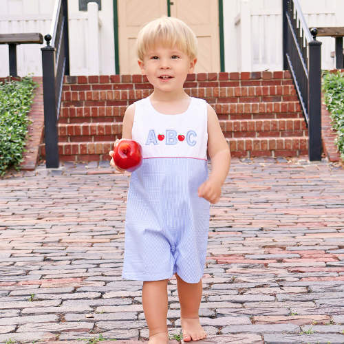 Apple & ABC Light Blue Gingham Jon Jon