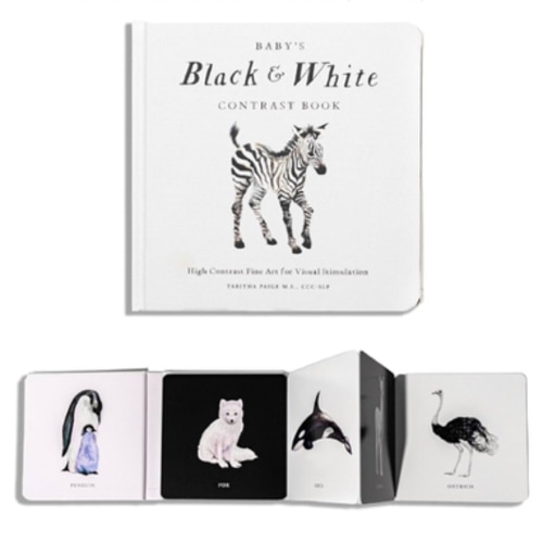 Baby's Black and White Contrast Book: High-Contrast Art for Visual Stimulation at Tummy Time (Our Little Adventures Series)