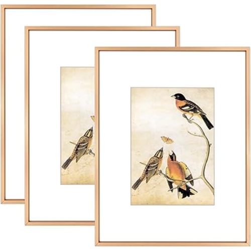 8.5x11 Picture Frame Set of 3, Gold Metal Photo Frames with HD Glass, Fits 5x7 with Mat or 8.5x11 without Mat, Wall Hanging and Table Display