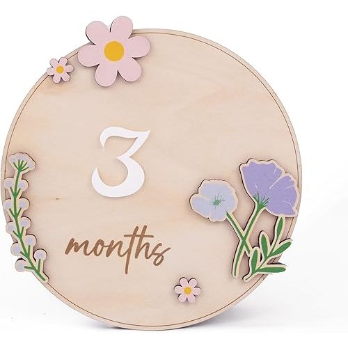 Wooden 3D Baby Monthly Milestone Cards Monthly Milestone Discs Newborn Photography Props Baby Announcement Sign Baby (Flower)