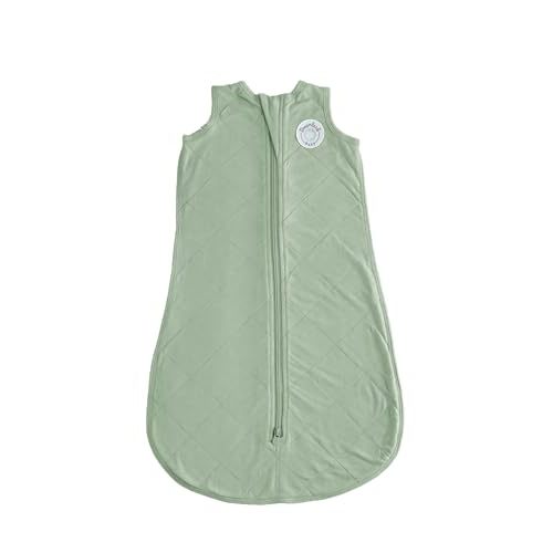 DREAMLAND BABY Bamboo Viscose Sleep Sack (0-6 Months). Ultra Soft Blanket w/ 2-Way Zipper. 97% Viscose, 3% Spandex (Sage)