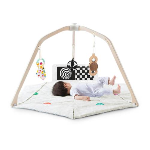 The Play Gym | Baby Activity & Tummy Time Mat | Lovevery