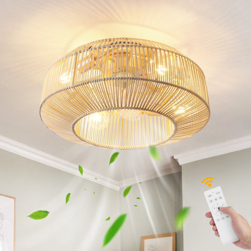 Bay Isle Home™ 20'' Ceiling Fan with Light Kit & Reviews | Wayfair