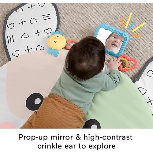 Fisher-Price Baby Tummy Time Toy, Puppy Perfection Giant Play Mat with Sensory Development Activities for Newborns 0+ Months