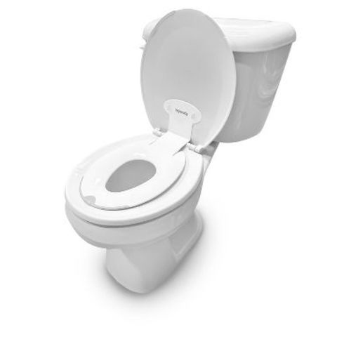 Ingenuity Flip and Sit Potty Seat