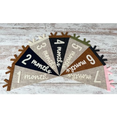 Baby Milestones Pennant for Baby Photos, Newborn Photo Prop First Year, Neutral Flag Room Decor, Interchangeable Monthly Sign Baby Shower - Etsy