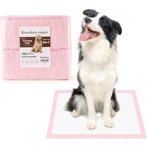 Super-Absorbent Leak-Proof Dog and Puppy Pet Training Pad, Housebreaking Puppy Pads Disposable (13" X 18"-Extra-Small 100PCS)