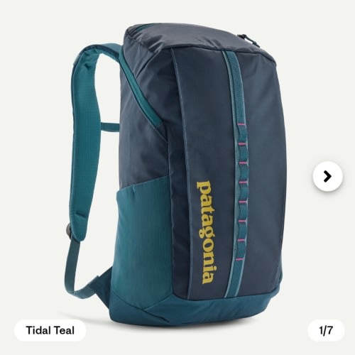 Patagonia Black Hole® Pack 25L
