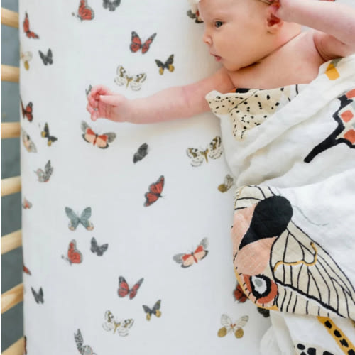 Mini Butterfly Bedding Bundle | Clementine Kids