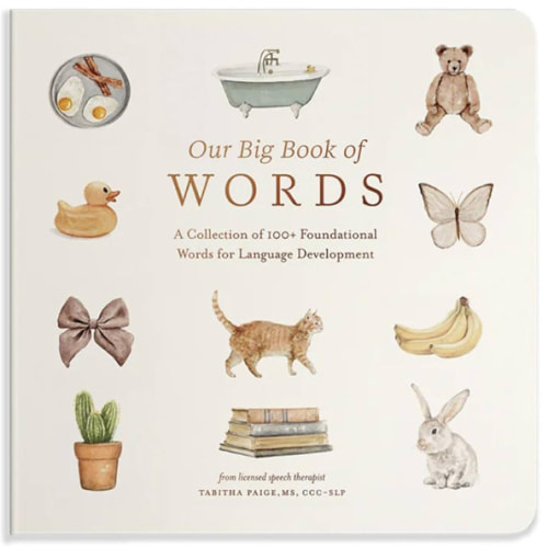 Our Big Book of First Words: A Collection of 100+ Foundational Words for Language Development (Tabitha Paige Children's Book Series)