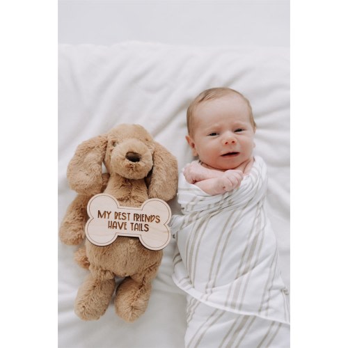 Personalized Dog Bone Baby Milestone Photo Props and Decor for Puppy Themed Nursery