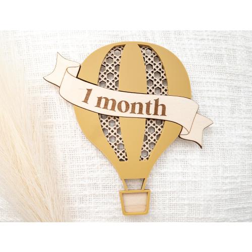 Hot air balloon monthly milestone sign | milestone card for baby boy or girl | newborn milestone photos | baby shower gift