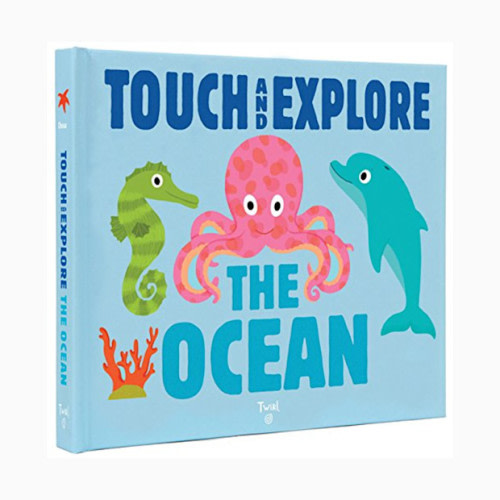 Chronicle Books Touch and Explore the Ocean