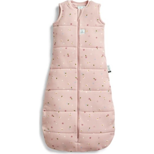 2.5 TOG Organic Jersey Wearable Blanket, 3-12 M
