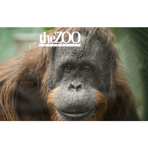 Individual Plus Membership | Louisville Zoo